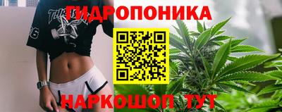 мдпв Рязань