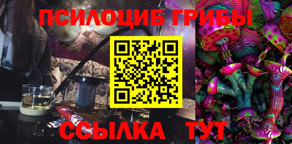 Новочебоксарск  Псилоцибиновые грибы Cubensis  Вход с VPN 