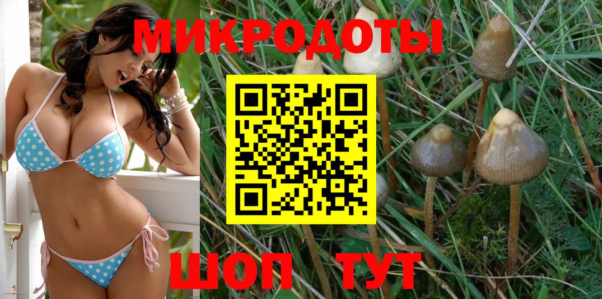Псилоцибиновые грибы мухоморы Новочебоксарск